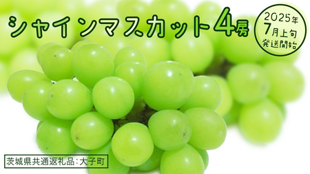 シャインマスカット ４房 【2025年7月上旬発送開始】(茨城県共通返礼品：大子町) ぶどう 葡萄 ブドウ マスカット フルーツ 果物 スイーツ