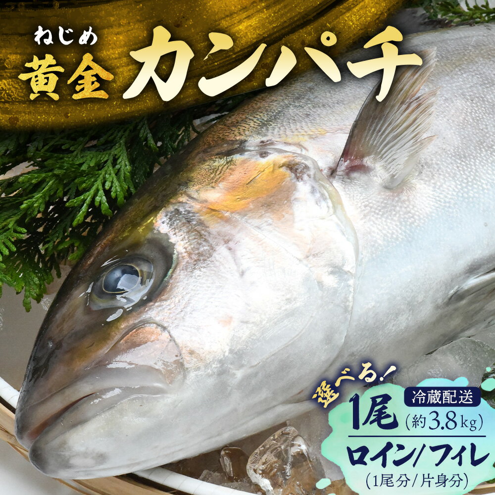 【ふるさと納税】内容量が選べる カンパチ 1尾 3.6〜4.0kg/ロイン 1尾 or 片身/フィレ 1尾 or 片身 配送日指定可能