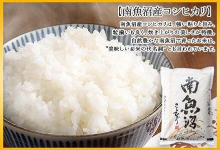 無地熨斗 新潟県 南魚沼産 コシヒカリ こしひかり お米 2kg ×2個 計4kg 精米 魚沼 米 炊き方ガイド付き お中元 お歳暮 gift ギフト プレゼント