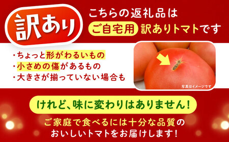 訳あり大玉トマト(ご家庭用)4kg / 朝採り 甘い 桃太郎 とまと / 恵那市 / クリエイティブファーマーズ [AUAH016]