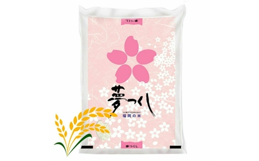 【先行予約】【令和7年産】福岡県産ブランド米「夢つくし」白米 5kg 吉富町/株式会社ゼロプラス [BGAA084] 米 精米 お米 おこめ ごはん ゆめつくし ご飯 常温 福岡県産 ブランド米 常温 おにぎり おむすび お弁当 ライス 5キロ