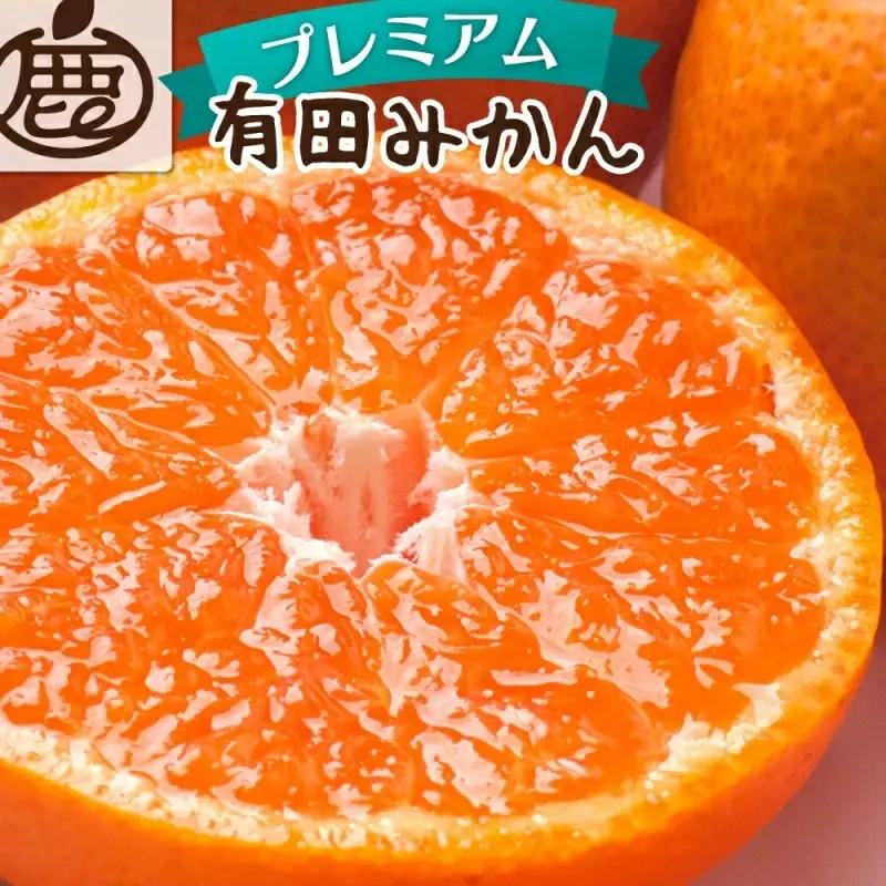 【先行予約】プレミアム有田みかん(完熟) 2.5kg+250g（傷み補償分）11月より発送【光センサー選果】※北海道・沖縄・離島配送不可 / みかん ミカン 蜜柑 フルーツ 果物 柑橘 有田みかん 有田【ikd005E】 