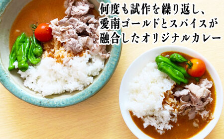愛南ゴールドカレー 5食 カレー 河内晩柑 愛南ゴールド ごはん スパイス 香辛料 にんじん じゃがいも 玉ねぎ 米 牛肉 豚肉 鳥肉 愛媛 愛南町 はなき農園
