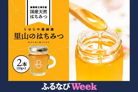  国産 はちみつ 2本 計240g ｜ハチミツ 蜂蜜 RY-4