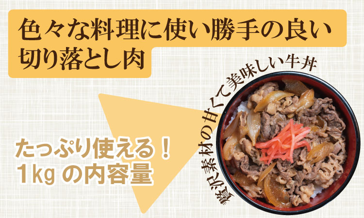 佐賀産和牛切り落とし（1,000g） すき焼き キャンプ飯 牛丼  潮風F
