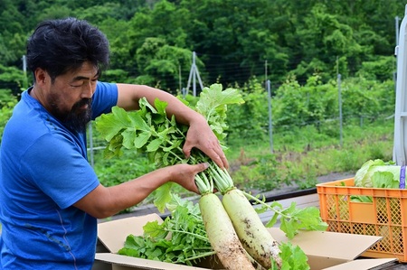 【2026年先行予約】北杜市明野産 「葉付き大根」10本セット（10kg程度）　葉付き 大根 10本 セット 野菜 10kg程度 北杜市明野産 ダイコン 農薬不使用 有機肥料 新鮮 大根葉 生食 煮物