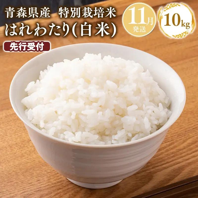 ≪令和8年産 先行予約≫11月中旬よりお届け! 　特別栽培米 はれわたり白米10kg[hi-0999-001]
