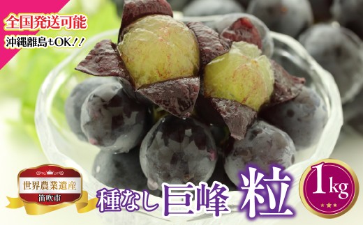 【2026年発送★先行予約】山梨県笛吹市産　種なし巨峰粒　1kg　223-029-26y
