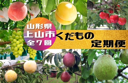 【定期便：全７回】くだもの定期便　0047-2513
