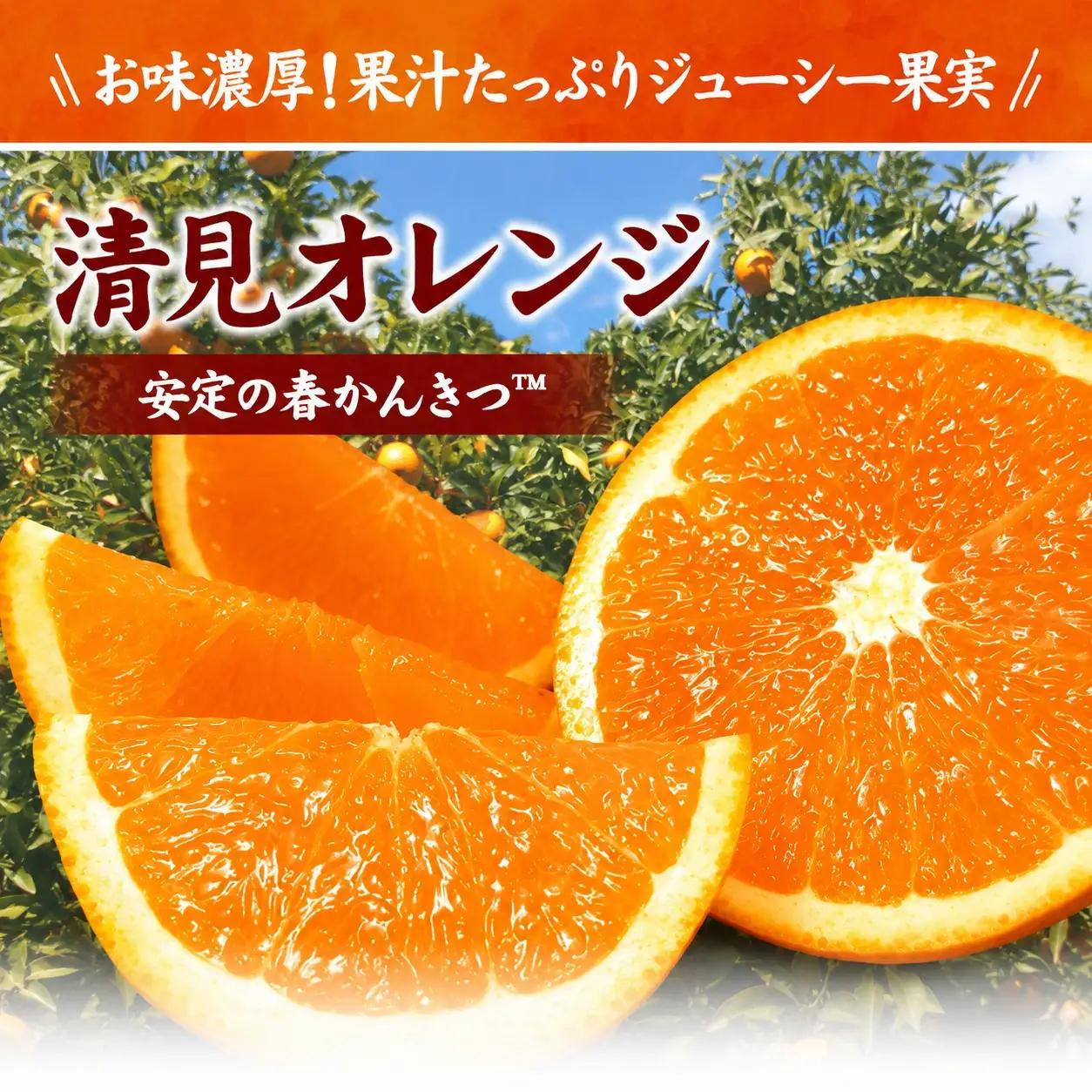 清見オレンジ約5kg/果実サイズおまかせ ※2027年2月中旬～2027年4月下旬頃に発送予定　紀伊国屋文左衛門本舗【ntbt400B】