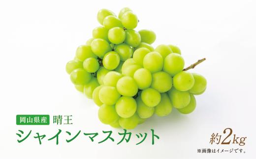 【岡山県産】晴王 シャインマスカット 約2.0kg以上 【2026年9月上旬～2026年11月下旬発送予定】 マスカット ぶどう ブドウ 葡萄