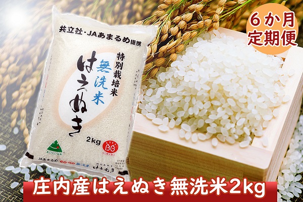 ＜12月中旬発送＞庄内米6か月定期便！特別栽培米はえぬき無洗米2kg（入金期限：2024.11.25）