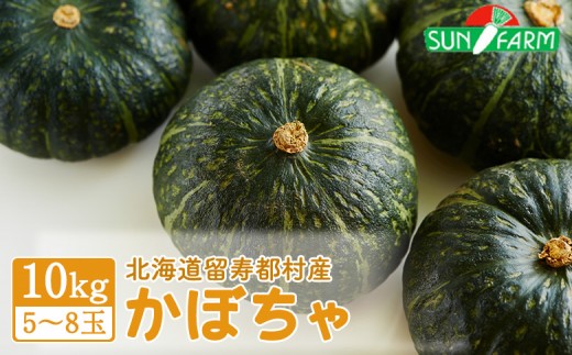 
                  かぼちゃ 10kg 5～8玉 カボチャ 南瓜 オンライン 申請 ふるさと納税 北海道 留寿都 野菜 緑黄色野菜 旬野菜 季節野菜 甘い ホクホク 産地直送 新鮮 採れたて 煮物 天ぷら サラダ コロッケ 10キロ 留寿都村【2401101】
                
