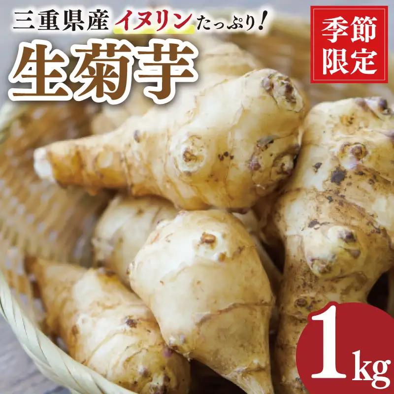 菊芋 1kg 生菊芋
