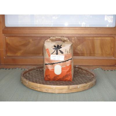 ふるさと納税 行方市 令和7年産　ミルキークイーン(5kg入)精米