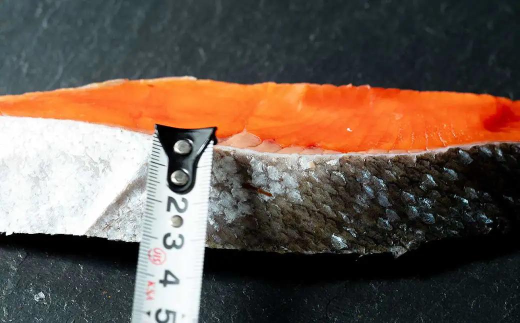天然のおいしい甘塩紅鮭 厚め 14切れ 鮭 小分け 海鮮 さけ サケ 鮭切身 シャケ 切り身 冷凍 おかず 弁当 あいちょう ご当地 釧路 北海道 リピート リピーター 沖流し 大人気 一番人気 あい