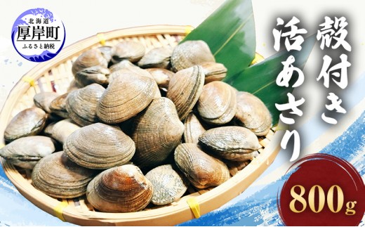 
北海道 厚岸産 砂出し済み 活殻付き あさり 800g 新鮮 美味しい [№5863-0869]
