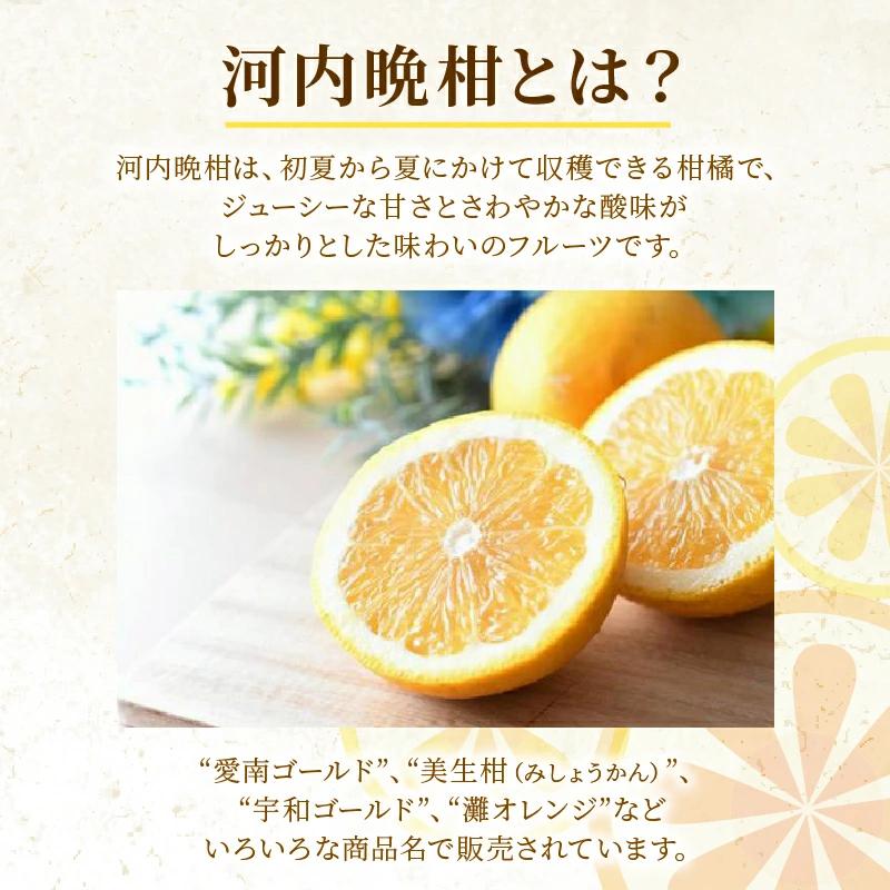 訳あり 河内晩柑 2L サイズ 以上 6玉  (約 3.5kg) サイズミックス 5000円 みかん かわちばんかん ミカン mikan わけあり 愛南ゴールド 家庭用 あいなん ゴールド 美生柑 文