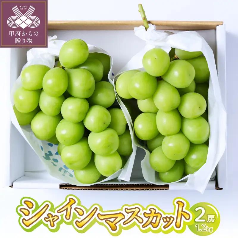 〈2026年度配送分〉シャインマスカット 2房(1.2kg) 〈KF-1〉