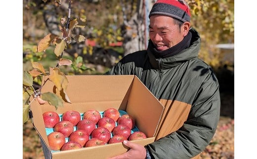 農家直送】富永農園の秋のりんご【サンふじ】５㎏箱（１段詰め）