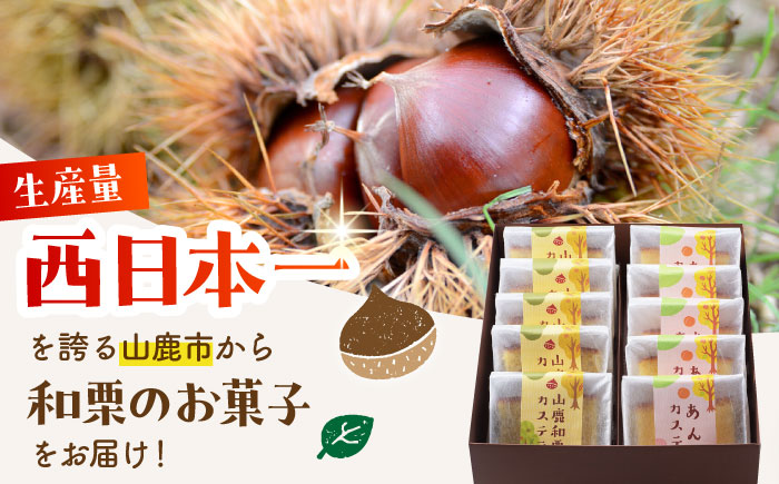 カステラセット 山鹿和栗 & あんず 計10個 【株式会社あんず】 [ZBT003]