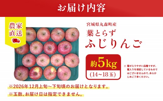 【先行予約】《2026年12月上旬～12月下旬出荷》宮城県丸森町産　葉とらずふじりんご　14～18個入り（約5kg）　1箱