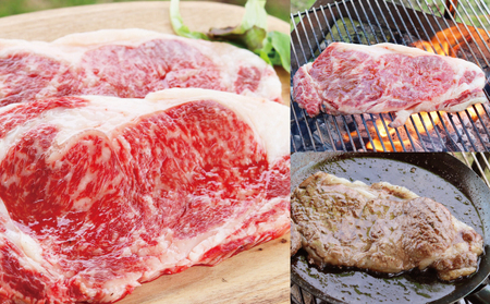 【訳あり】4等級以上！鹿児島県産黒毛和牛 サーロインステーキ 約500g 約170g×3枚 ★数量限定★ 国産 牛肉 サーロイン ステーキ 和牛 A4 お肉 肉 焼肉 BBQ バーベキュー スターゼン