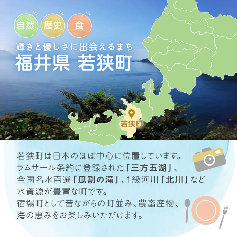 【祝北陸新幹線延伸】旅行 若狭町 プレミアム宿泊利用券 9000円分 1枚 宿泊補助券 福井県 福井 チケット 宿泊券 旅行券 宿泊 旅館 ホテル 9千円