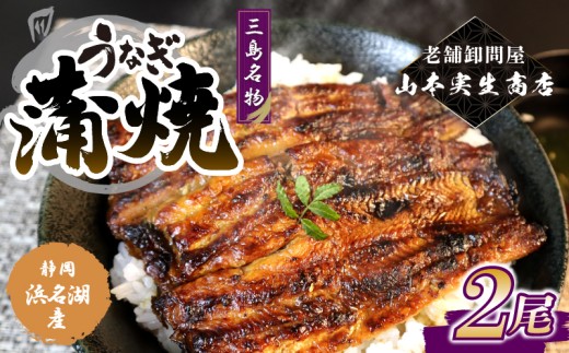 【2025年12月～順次発送】うなぎ蒲焼 2人前 2尾 冷蔵 三島名物 老舗 鰻問屋 うなぎ 蒲焼き 鰻 ウナギ 真空パック 浜名湖 土用丑の日 贈答用 惣菜 うな重 うな丼 伝統 贈り物 鰻料理 ウナギの蒲焼 和食 浜名湖うなぎ 山本実生商店 三島市 静岡県