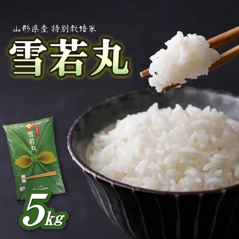 【新米】 特別栽培米 雪若丸 5kg【山形県産 特別栽培米】【2025年度産米】 001-067