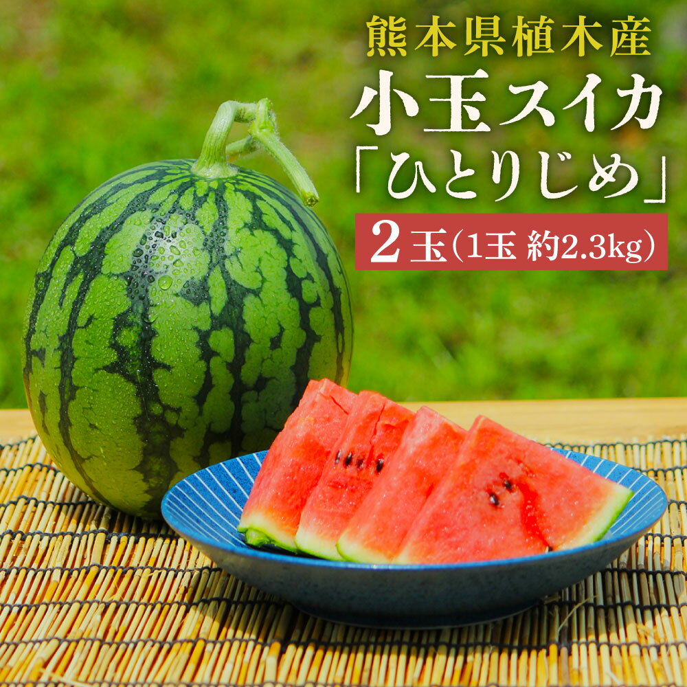 【ふるさと納税】【上村農園】小玉すいか約2.3kg 2玉ひとりじめ【2026年5月上旬～5月下旬迄順次発送予定】春スイカ植木スイカ西瓜果物くだものフルーツおやつ熊本県産国産常温送料無料熊本県熊本市