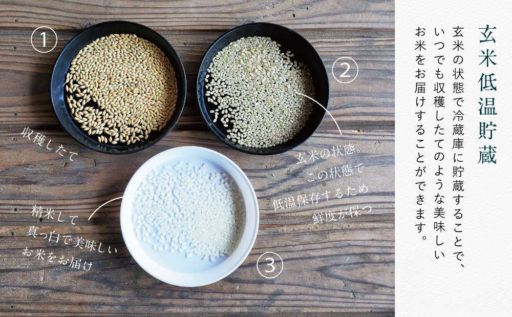 ★令和7年産 新米★ ＜8月発送開始＞ 鹿児島県南さつま市産「金峰コシヒカリ」5kg 【玄米低温貯蔵・白米でお届け】超早場米 早期米 こしひかり 白米 九州産 鹿児島県産 お米 コメ おこめ 5キロ 