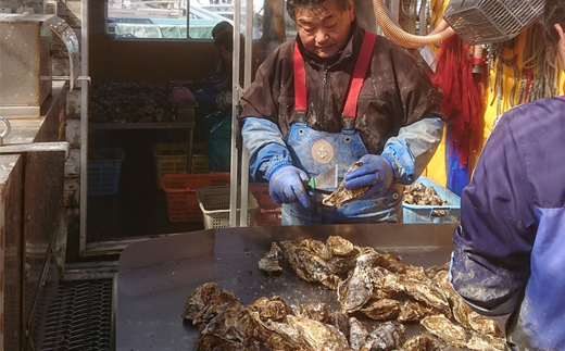 北海道 仙鳳趾名産 牡蠣 150g〜199g×30コ＋かきナイフ付き漁師直送K4-4＜出荷時期：2025年8月1日ごろ～順次出荷＞＜センポウシ : 釧路町の東 厚岸湾の西 カキの名産地＞
