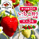 【ふるさと納税】いちご狩り 大人3人 利用券【1556866】