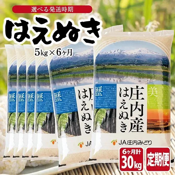 (1月～6月) ≪6ヶ月定期便≫ はえぬき5kg×6ヶ月連続 計30kg 山形県庄内産 ご希望期間の毎月中旬頃お届け JA 農協 産地直送 精米 白米 庄内米 東北 遊佐町 [1705T01]