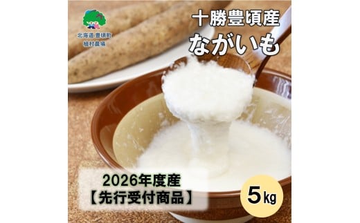 【秋掘り】十勝豊頃産 ながいも5kg 【2026年初冬出荷】（先行受付）【植村農場】
