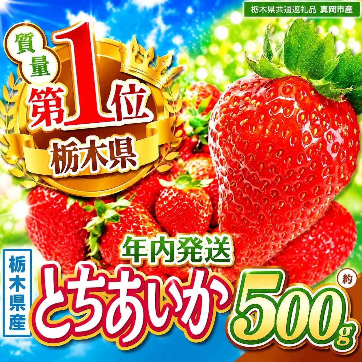 【先行予約】【栃木県共通返礼品】年内発送いちご  初摘みとちあいか 約500g| 栃木県 那珂川町 送料無料
