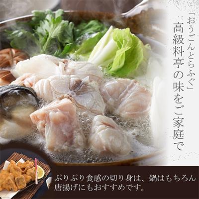 ふるさと納税 松浦市 【2ヵ月毎定期便】活〆おうごんとらふぐ刺身2人前セット 3回目切身400g付 全3回 |  | 03