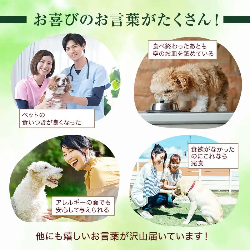 ペットフード 鹿肉 ウエット 100g×30袋 ペットフード