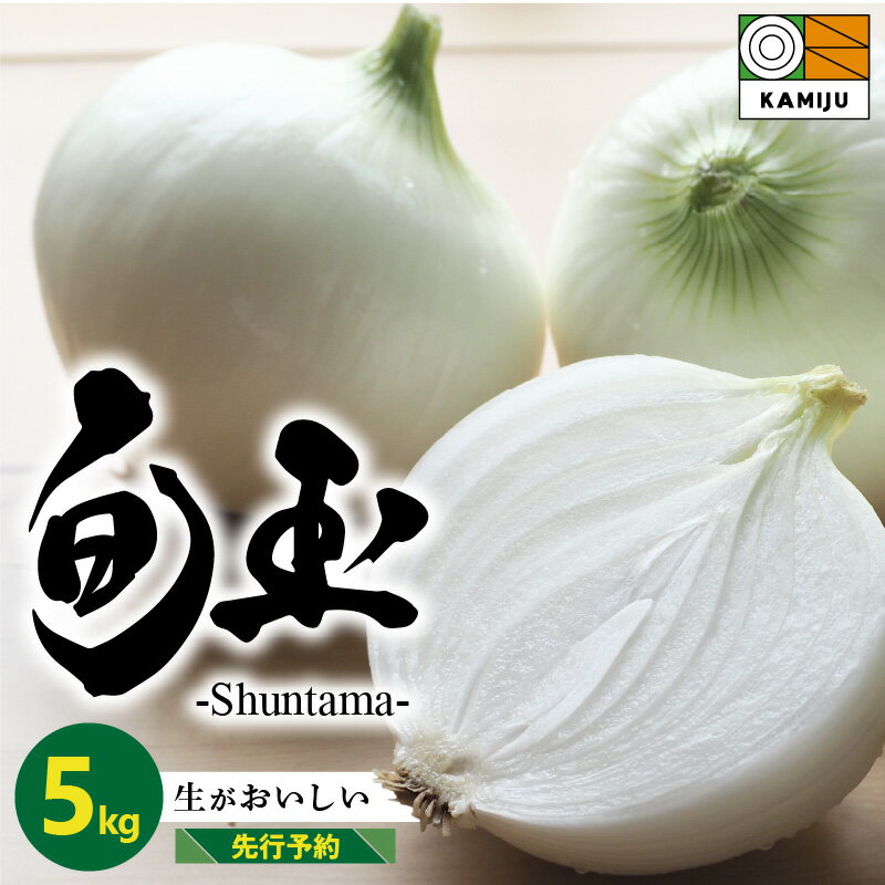 【ふるさと納税】高評価☆5.00 とにかく甘い 新玉ねぎ 旬玉 5kg サイズ 混合 農場 神重農産 ブランド玉ねぎ 生がおいしい フレッシュ みずみずしい ミネラル 玉ねぎ オニオン 野菜 スライス サラダ 玉ねぎステーキ オニオンスープ BBQ お取り寄せ 愛知県 碧南市 送料無料