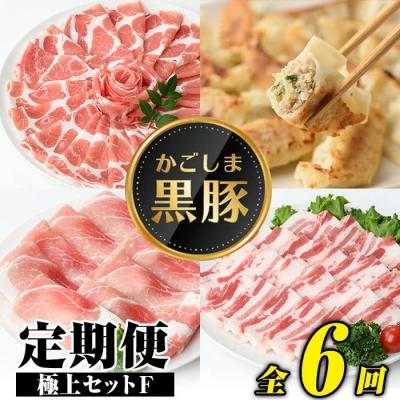 ふるさと納税 肝付町 <定期便・全6回(隔月)>極上セットF!　J02002