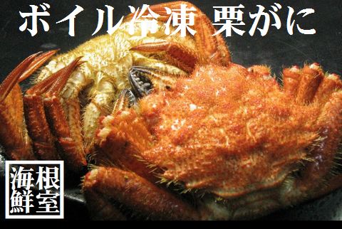 【北海道根室産】クリガニ10～13尾(計3kg前後) C-57015