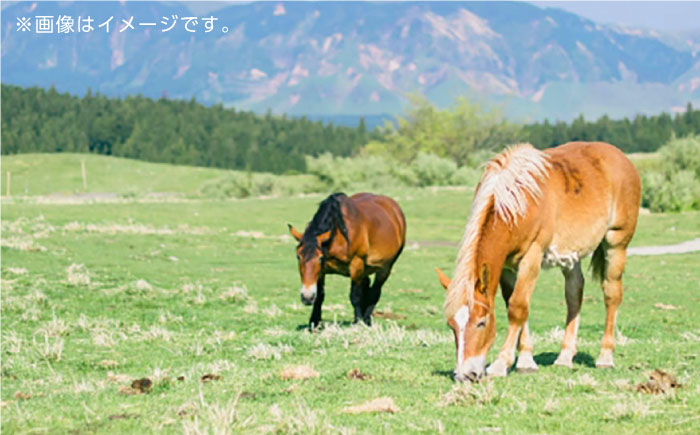 霜降り 馬刺し スライス 200ｇ【やまのや】 [YDF042]