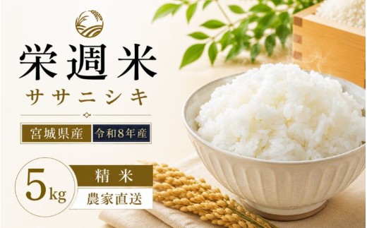 令和８年産 栄週米 ササニシキ（精米）５kg ※10月上旬より順次発送予定【isff005】