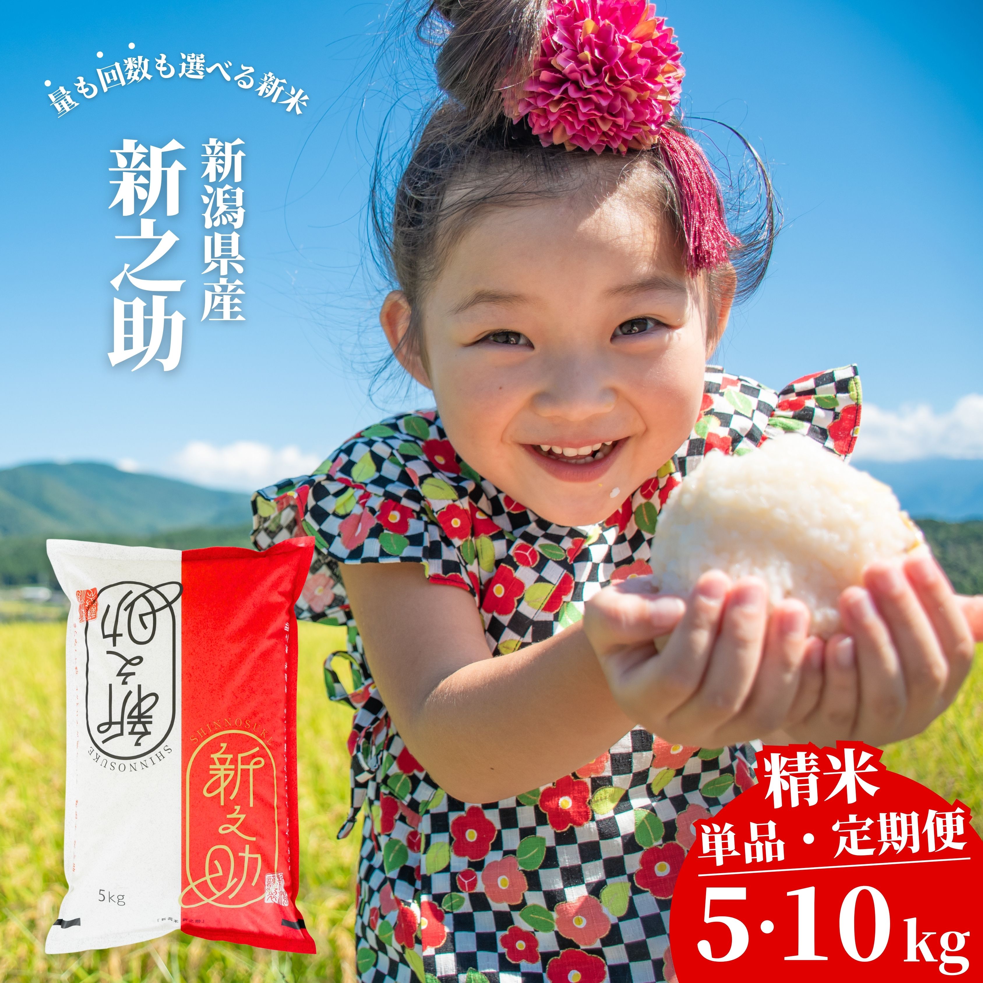 【ふるさと納税】新潟県産 新之助 しんのすけ 5kg・10kg 選べる配送回数（1・3・6回）令和7年産 [株式会社白熊]