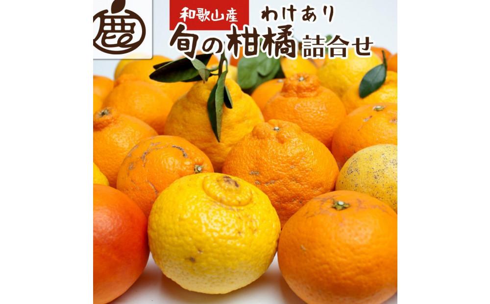 ＜1月より発送＞家庭用 柑橘詰合せ5kg+150g（傷み補償分） 訳あり わけあり 有田の春みかん詰め合わせ フルーツ詰め合せ オレンジつめあわせ 光センサー選別 ［IKE116］ 303446_BB007