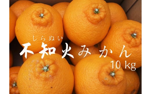 【先行予約＿2026年出荷分】湯の花　不知火10kg箱セット　【 不知火 清見 ポンカン 柑橘 果物 野菜 フルーツ 果物詰め合わせ フルーツ詰め合わせ フルーツセット 伊豆 南伊豆 】　<BC-30>
