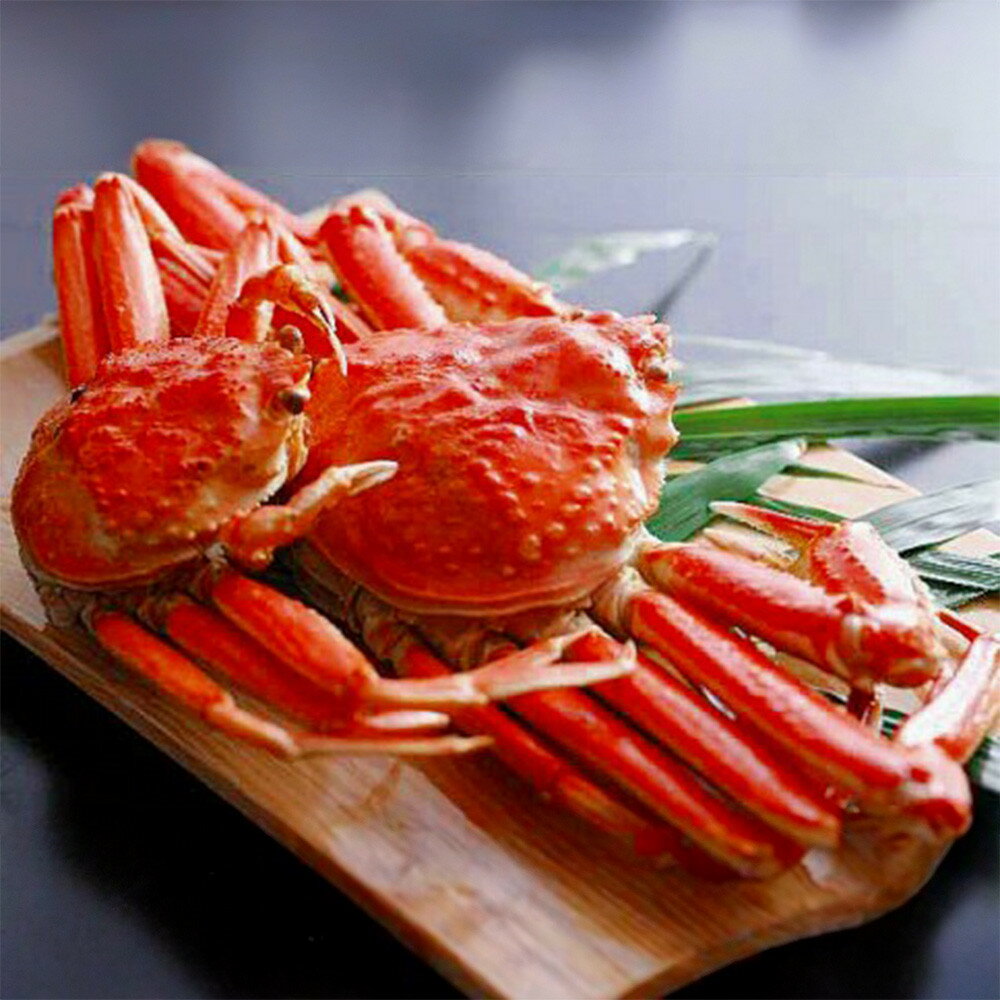 【ふるさと納税】金沢 大和百貨店 選定 加能ガニ・香箱ガニ（生茹で）詰合せ | 期間限定 カニ かに ずわいがに ズワイカニ ズワイ蟹 ズワイガニ せいこ せこ 食べ比べ 詰め合わせ 石川県 北陸 生茹で