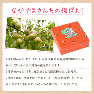 はちみつ梅干し　約３５０ｇ〔化粧箱入り〕《紀州南高梅》【入金確認後準備ができ次第順次発送】【AA90007-ard097】