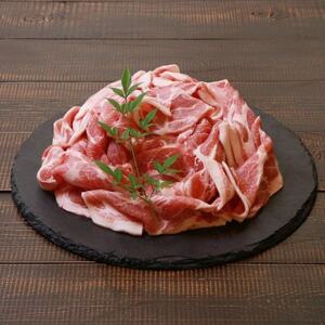 肉厚でジューシー 越後もち豚肩ロース すきやき用900g【配送不可地域：離島】【1644007】